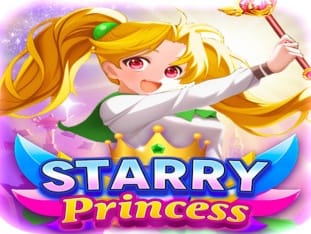 Starry Princess game cover